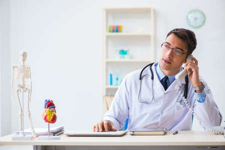 Doctor explaining the heart modelの写真素材