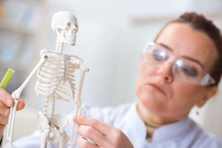 Woman doctor studying human skeletonの写真素材