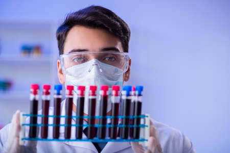 Lab assistant testing blood samples in hospitalの写真素材