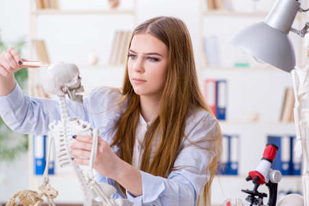 Student sitting in classroom and studying skeleton