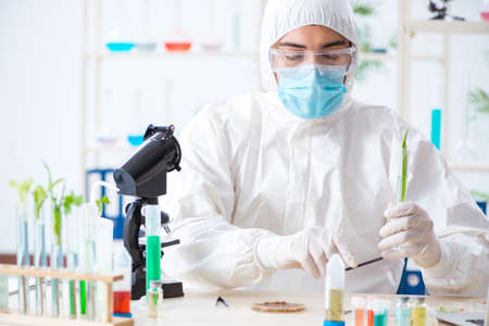 Male biochemist working in the lab on plants