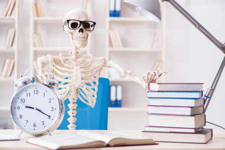 Student skeleton preparing for examsの写真素材