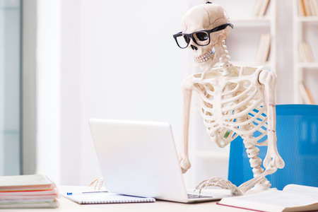 Skeleton businessman working in the officeの写真素材
