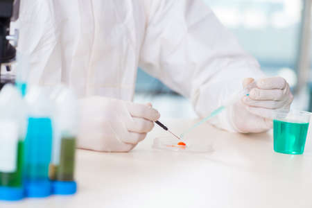 Male chemist working in lab