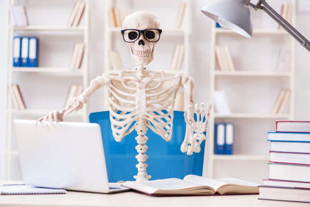 Student skeleton preparing for examsの写真素材