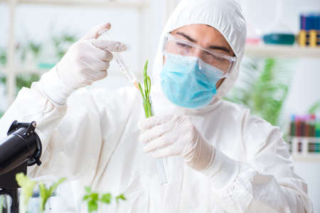 Male biochemist working in the lab on plantsの写真素材