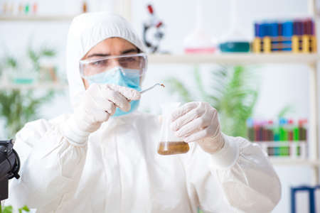 Male biochemist working in the lab on plantsの写真素材