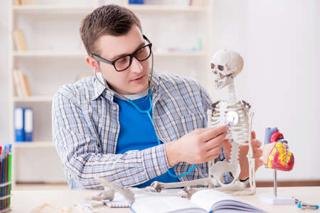 Medical student studying skeleton in classroom during lectureの写真素材