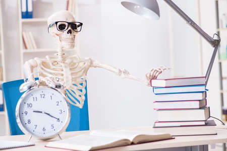 Student skeleton preparing for examsの写真素材