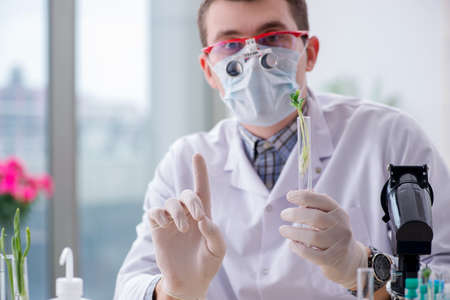 Male biochemist working in the lab on plantsの写真素材