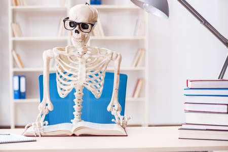 Student skeleton preparing for examsの写真素材