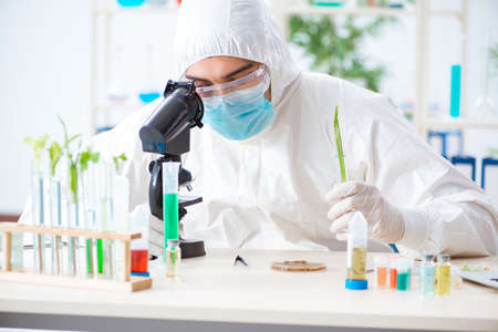 Male biochemist working in the lab on plantsの写真素材