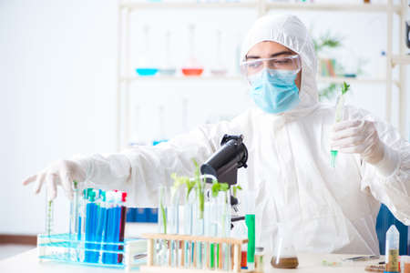 Male biochemist working in the lab on plantsの写真素材