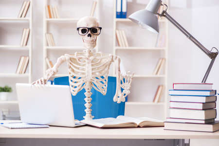Student skeleton preparing for exams