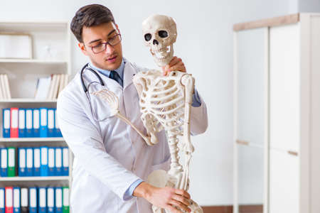Yong male doctor with skeleton isolated on white
