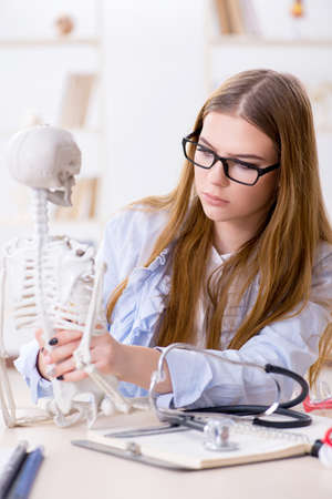 Student sitting in classroom and studying skeleton