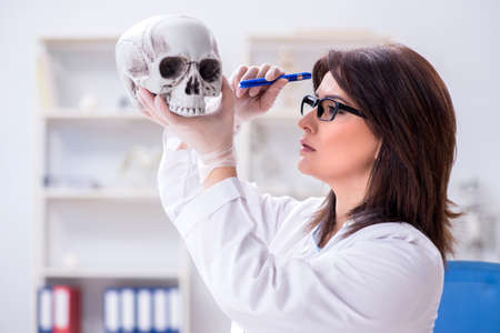 Doctor working in the lab on skeletonの写真素材