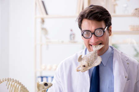 Funny crazy professor studying animal skeletonsの写真素材