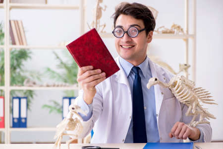 Funny crazy professor studying animal skeletonsの写真素材