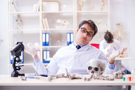 Professor studying human skeleton in labの写真素材