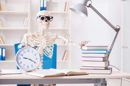 Student skeleton preparing for examsの写真素材