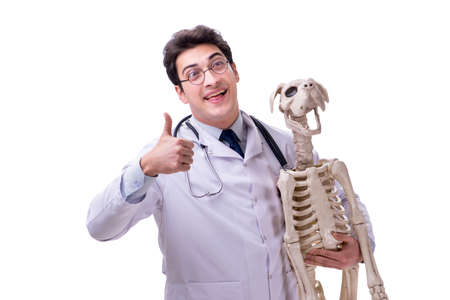 Doctor with dog skeleton isolated on white backgroundの写真素材