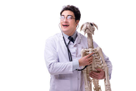Doctor with dog skeleton isolated on white backgroundの写真素材