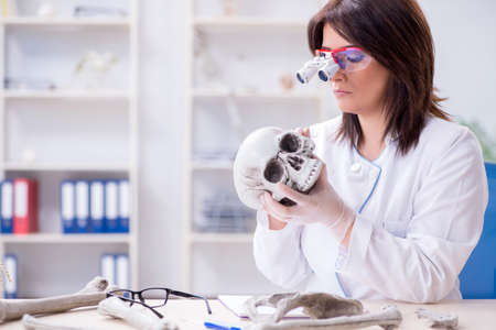 Doctor working in the lab on skeletonの写真素材