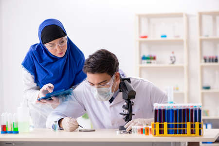 Two chemists working in the labの写真素材