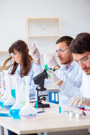 Team of chemists working in the labの写真素材