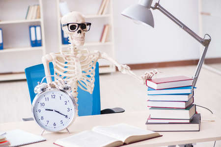 Student skeleton preparing for examsの写真素材