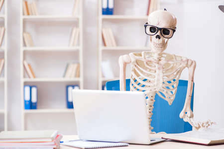 Skeleton businessman working in the officeの写真素材