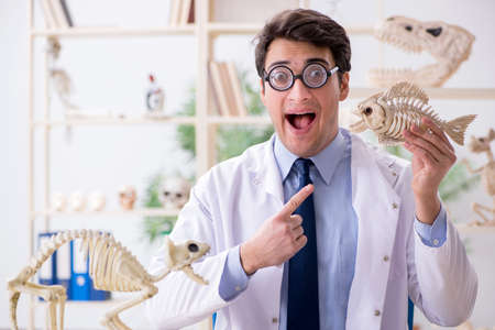 Funny crazy professor studying animal skeletonsの写真素材