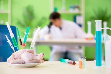 Lab assistant testing GMO chickenの写真素材