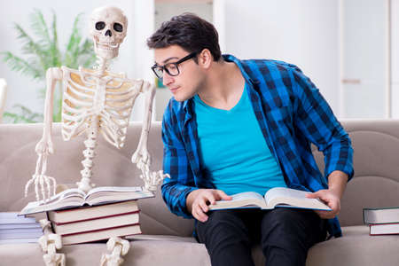 Student studying with skeleton preparing for examsの写真素材