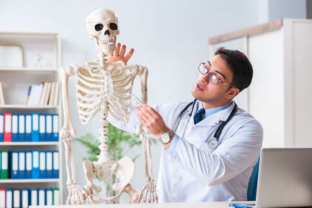 Yong male doctor with skeleton isolated on whiteの写真素材