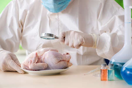 Lab assistant testing GMO chickenの写真素材