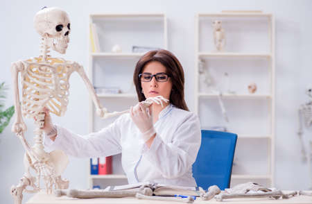 Doctor working in the lab on skeleton