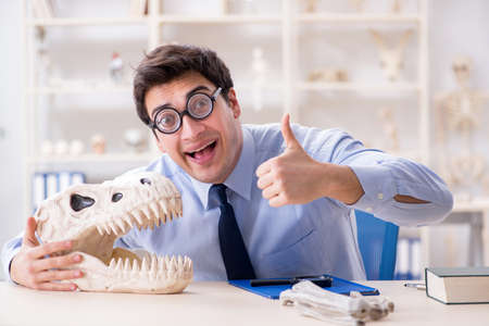 Funny crazy professor studying dinosaur skeletonの写真素材