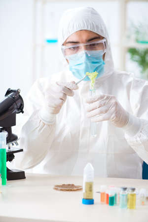 Male biochemist working in the lab on plantsの写真素材