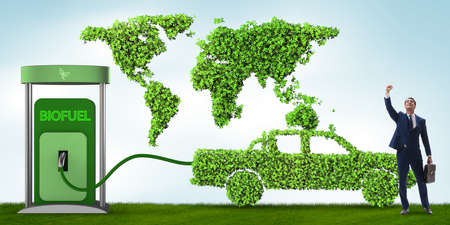 Concept of bio fuel and ecology preservation