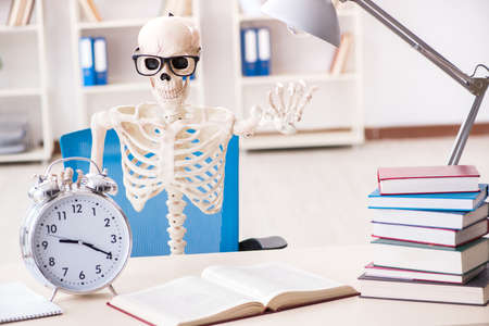 Student skeleton preparing for exams