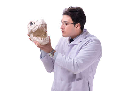 Funny crazy professor paleontologyst studying animal skeletons iの写真素材