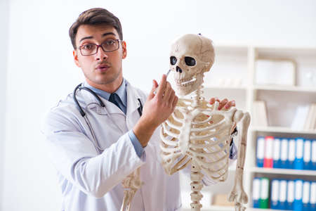 Yong male doctor with skeleton isolated on whiteの写真素材