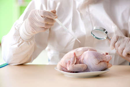 Lab assistant testing GMO chickenの写真素材