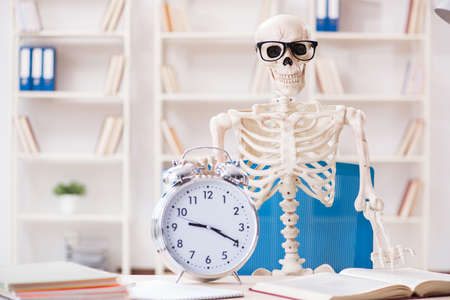 Skeleton businessman working in the officeの写真素材