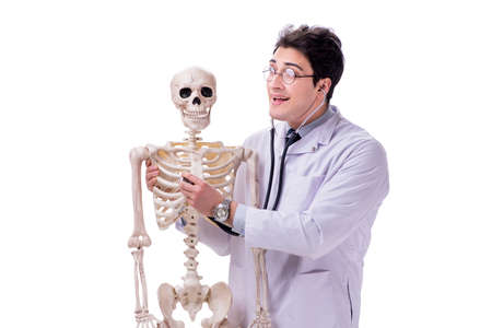 Young doctor with skeleton isolated on whiteの写真素材