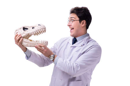 Funny crazy professor paleontologyst studying animal skeletons iの写真素材