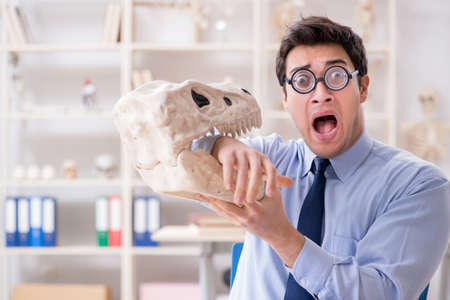 Funny crazy professor studying dinosaur skeletonの写真素材