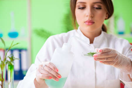 Beautiful female biotechnology scientist chemist working in labの写真素材